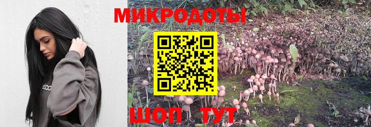 Славгород  Галлюциногенные грибы Psilocybe  Вход с VPN 