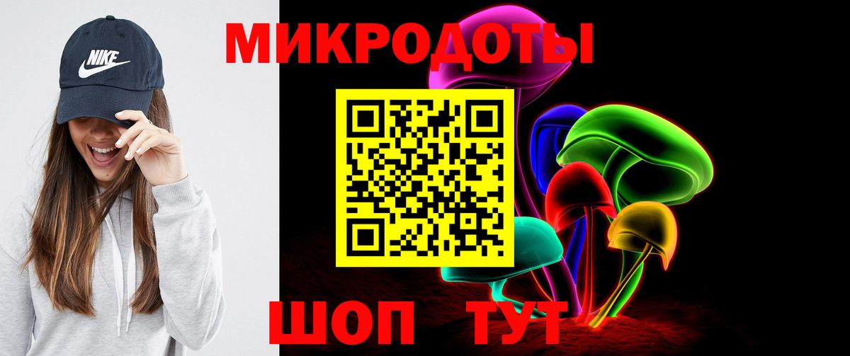 Псилоцибиновые грибы Cubensis Славгород